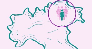 blog-preview