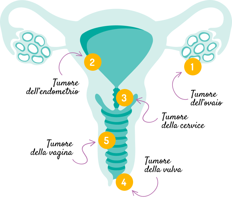 sistema riproduttivo femminile