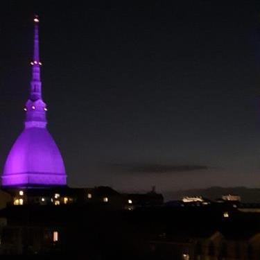 Acto Piemonte Turin in Purple.jpg
